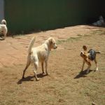 Feriado 7 de Setembro 2012