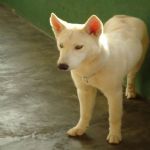 Feriado 7 de Setembro 2012