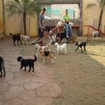 Feriado 7 de Setembro 2012