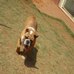 Feriado 7 de Setembro 2012