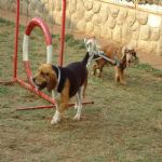 Feriado 7 de Setembro 2012