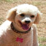 Feriado 7 de Setembro 2012