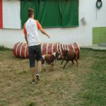 Feriado 7 de Setembro 2012