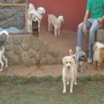 Feriado 7 de Setembro 2012