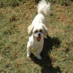 Feriado 7 de Setembro 2012