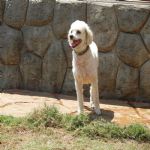 Feriado 7 de Setembro 2012