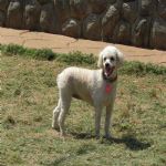 Feriado 7 de Setembro 2012