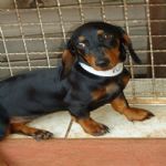 Feriado 7 de Setembro 2012