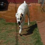 Feriado 7 de Setembro 2012