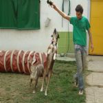 Feriado 7 de Setembro 2012