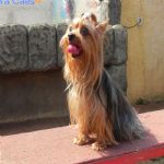 Feriado 7 de Setembro 2012