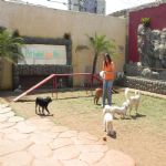 Feriado 7 de Setembro 2012