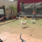 Feriado 7 de Setembro 2012