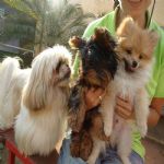 Feriado 7 de Setembro 2012