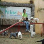 Feriado 7 de Setembro 2012