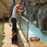 Feriado 7 de Setembro 2012