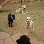 Feriado 7 de Setembro 2012