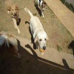 Feriado 7 de Setembro 2012