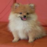 Feriado 7 de Setembro 2012