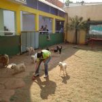 Feriado 7 de Setembro 2012