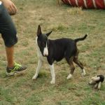 Feriado 7 de Setembro 2012