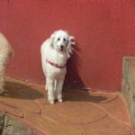 Feriado 7 de Setembro 2012