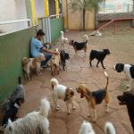 Feriado 7 de Setembro 2012