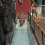 Feriado 7 de Setembro 2012