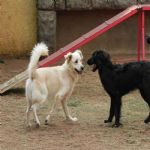 Feriado 7 de Setembro 2012