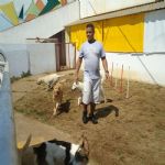 Feriado 7 de Setembro 2012