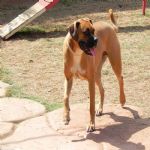 Feriado 7 de Setembro 2012