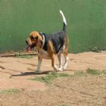 Feriado 7 de Setembro 2012