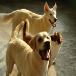 Feriado 7 de Setembro 2012