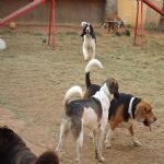 Feriado 7 de Setembro 2012