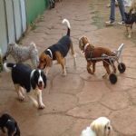 Feriado 7 de Setembro 2012