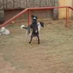 Feriado 7 de Setembro 2012