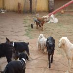 Feriado 7 de Setembro 2012