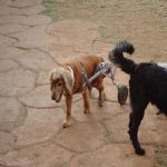 Feriado 7 de Setembro 2012