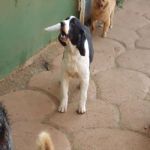 Feriado 7 de Setembro 2012