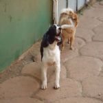 Feriado 7 de Setembro 2012