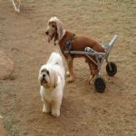 Feriado 7 de Setembro 2012