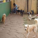 Feriado 7 de Setembro 2012