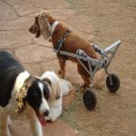 Feriado 7 de Setembro 2012