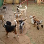 Feriado 7 de Setembro 2012