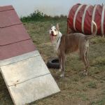 Feriado 7 de Setembro 2012