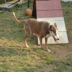 Feriado 7 de Setembro 2012