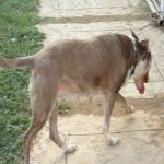 Feriado 7 de Setembro 2012