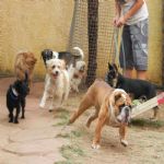 Feriado 7 de Setembro 2012