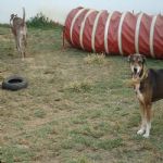 Feriado 7 de Setembro 2012