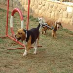 Feriado 7 de Setembro 2012